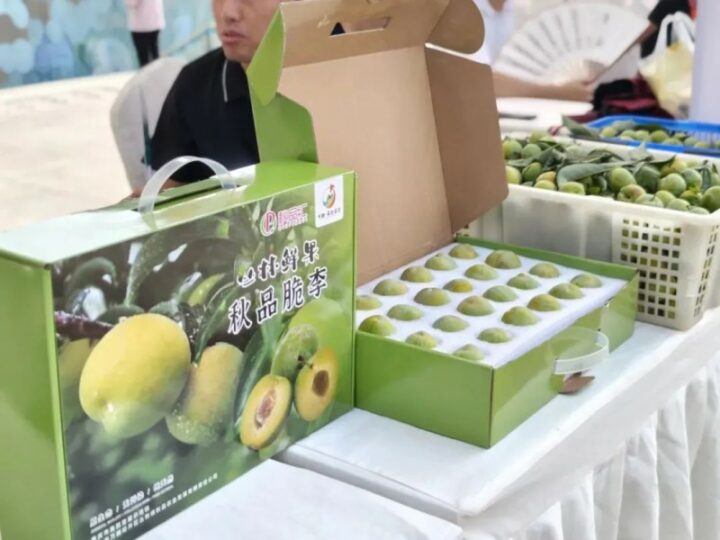 20250720164435473032323