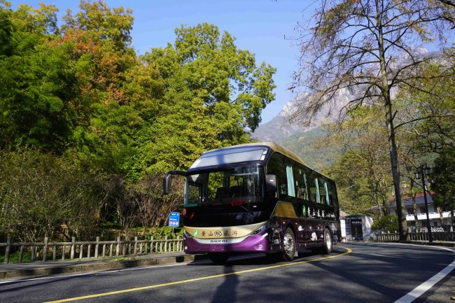 1763455141-04382cd6d5c6fa7